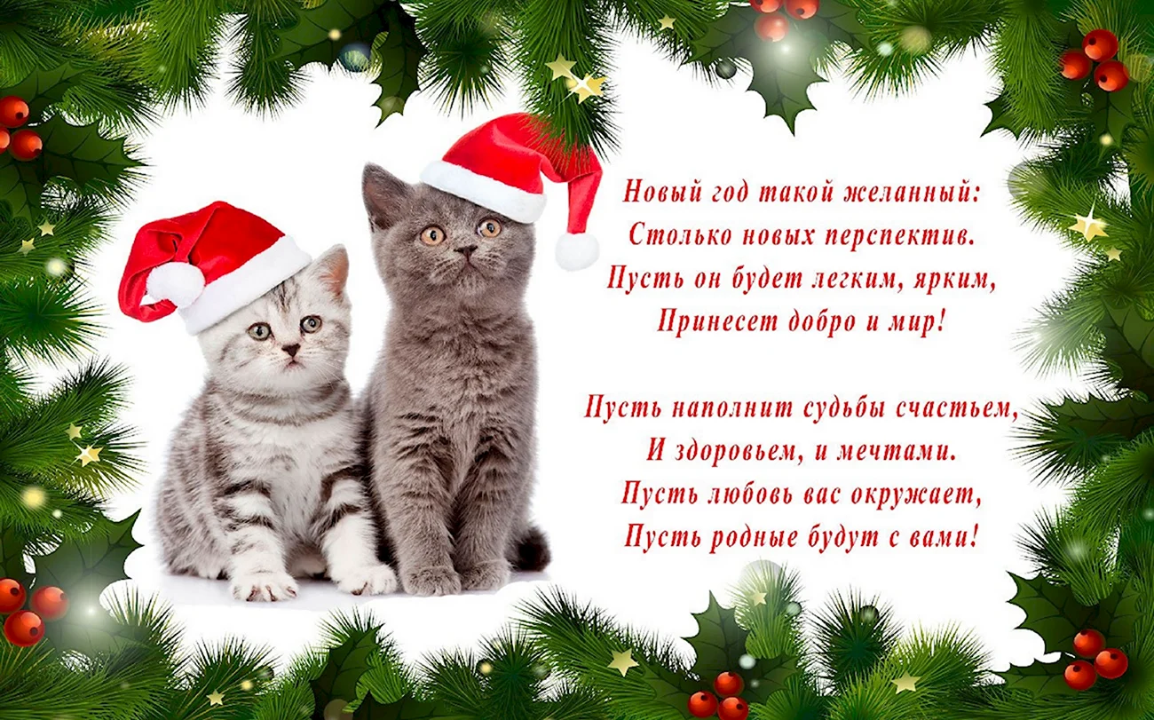 Новогодние открытки с котиками. Поздравление