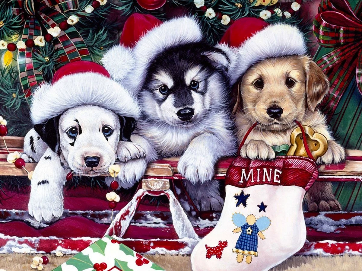 Новогодние открытки с собаками. Картинка