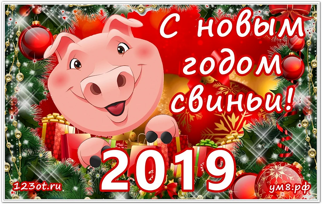 Новый год свиньи 2019. Открытка на праздник