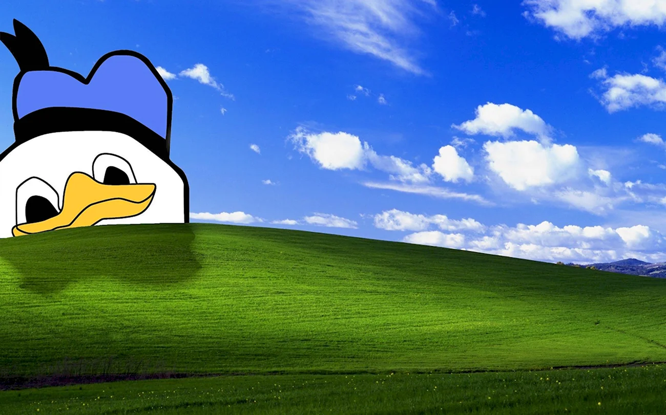 Обои Windows XP. Картинка