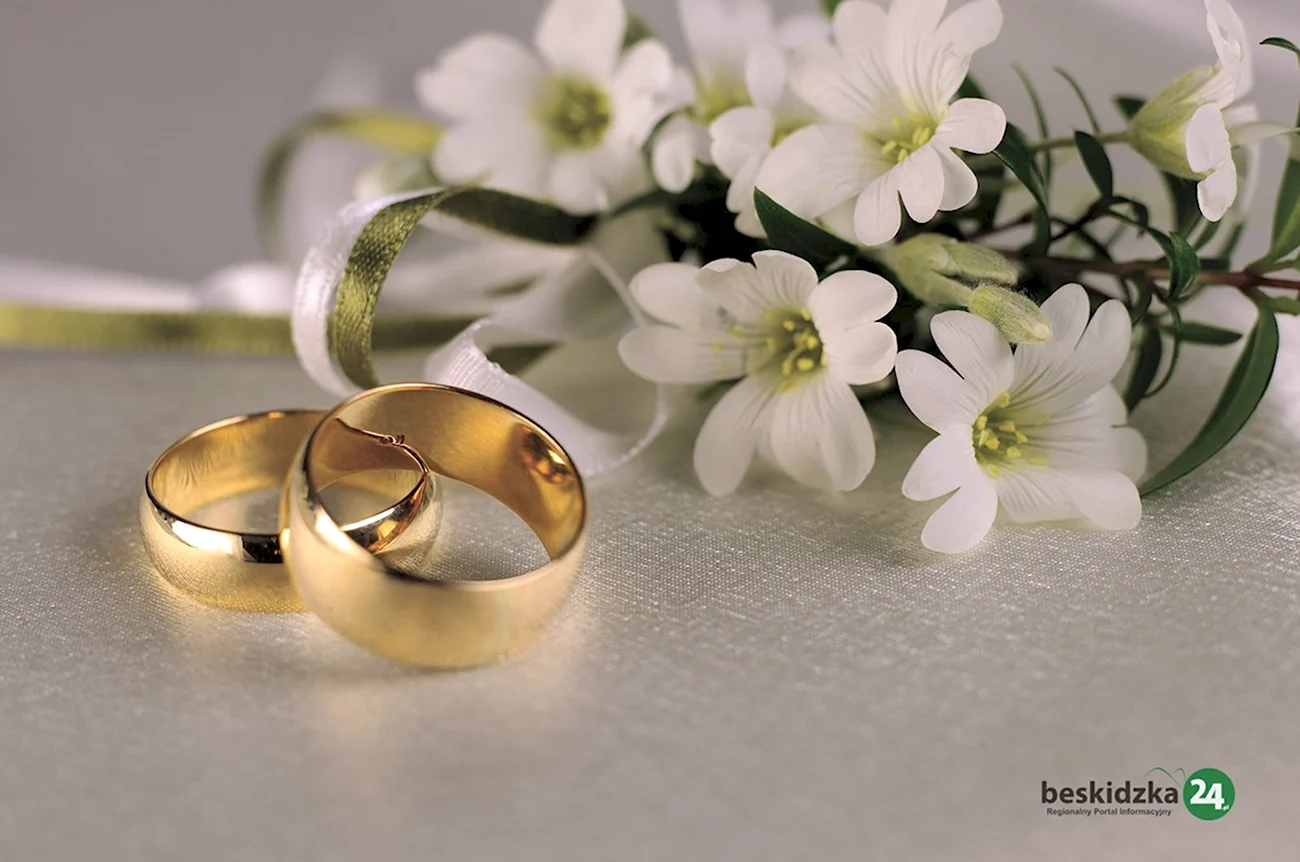Обручальные кольца природа. Поздравление с годовщиной свадьбы
