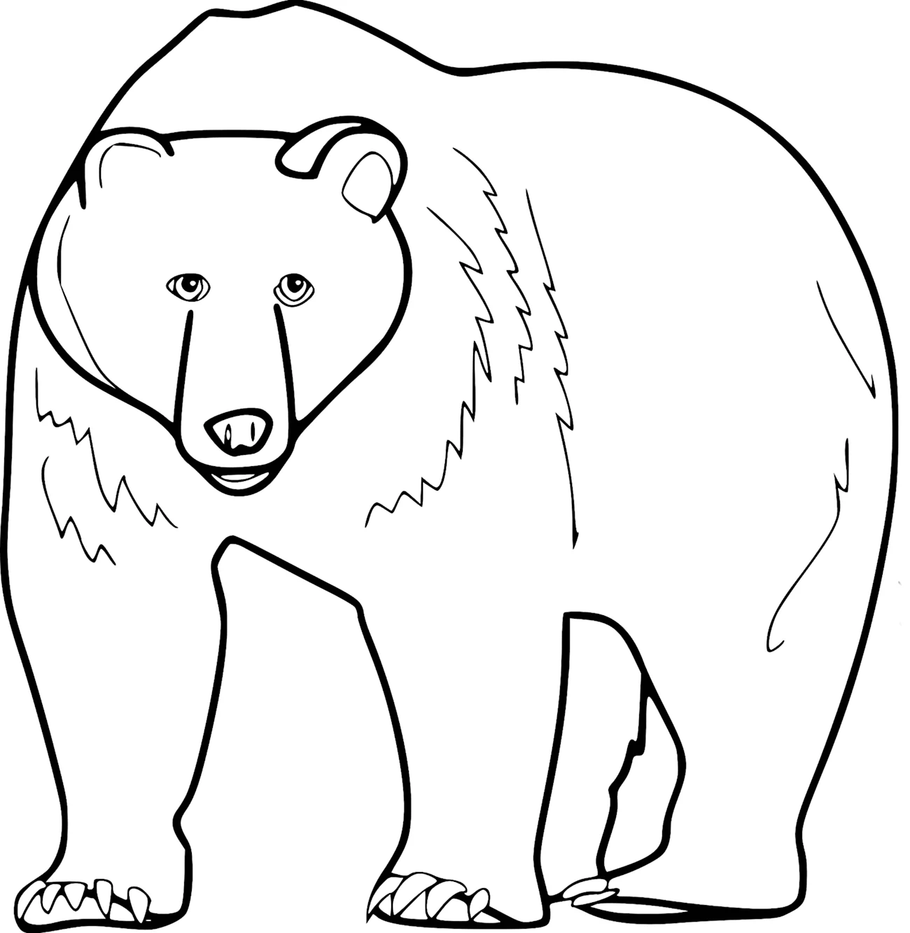 Очковый медведь раскраска. Для срисовки