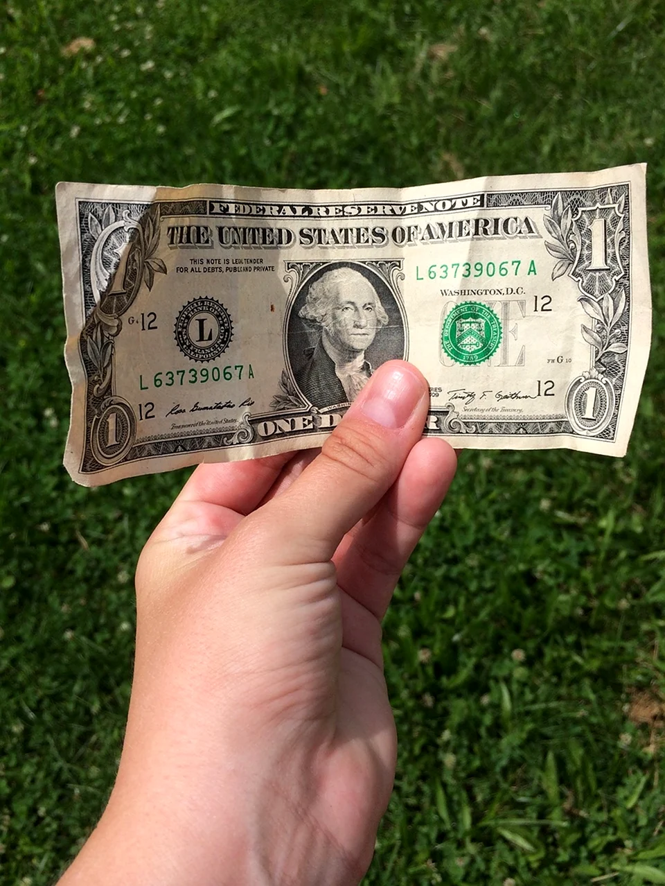Один доллар. Картинка