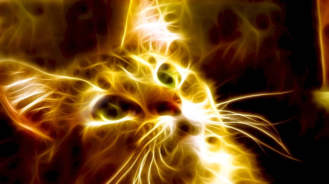 Огненная кошка. Красивое животное