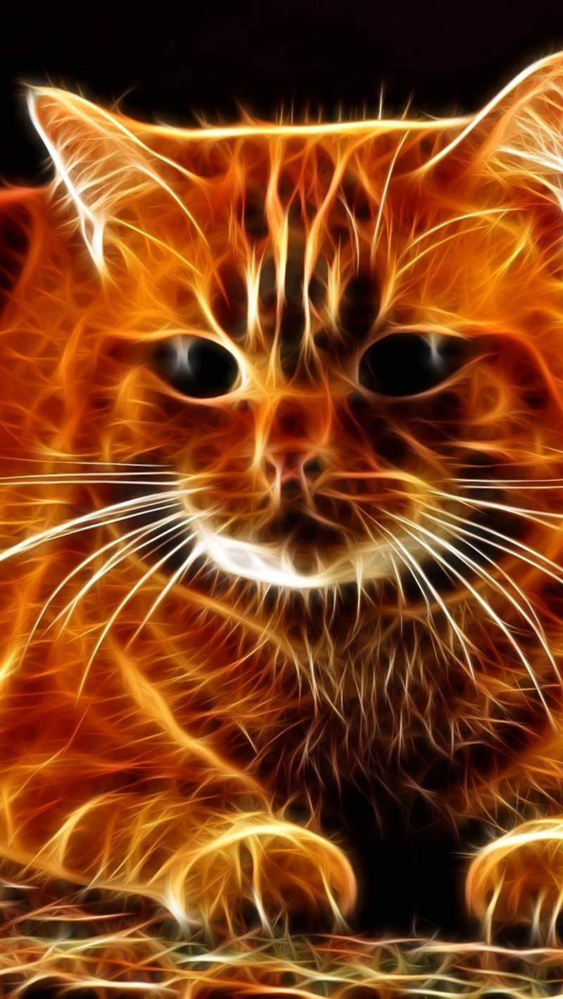 Огненная кошка. Красивое животное