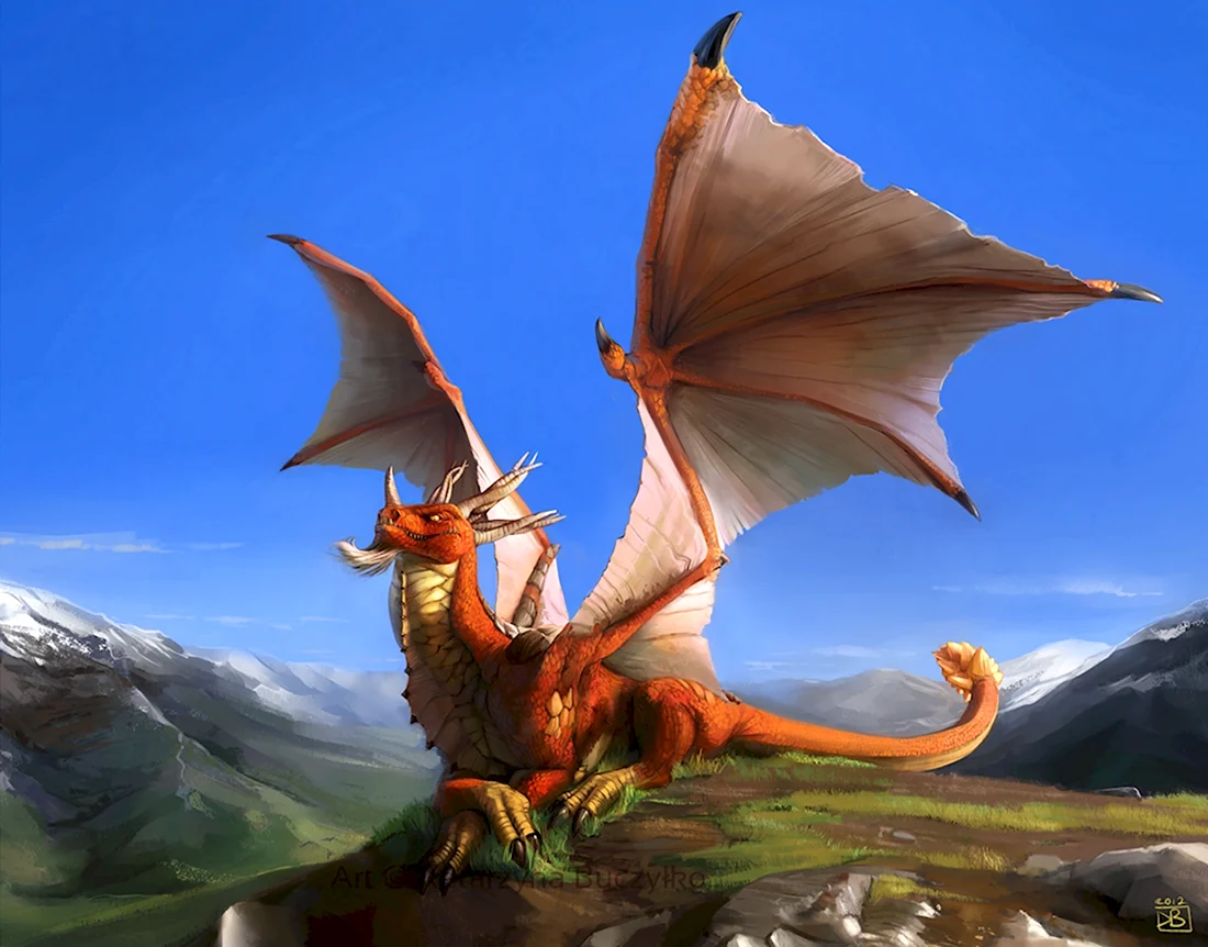 Огненный дракон. Красивые картинки животных