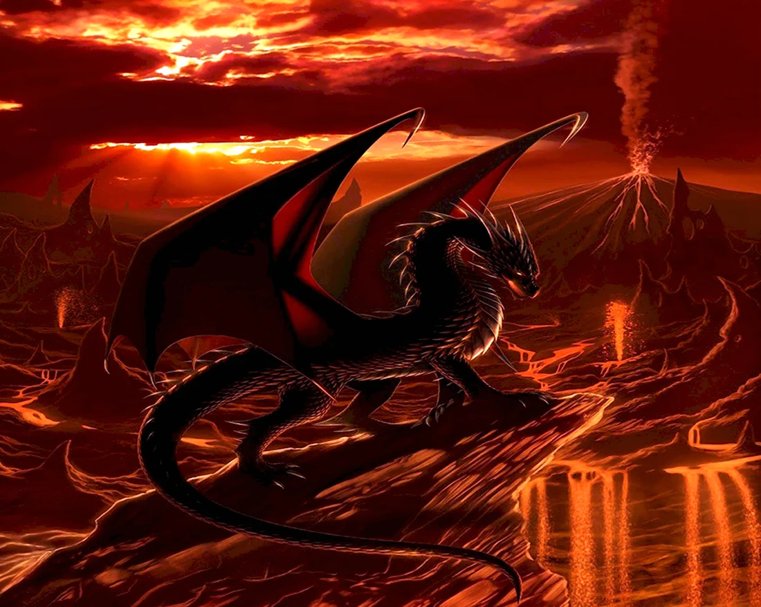 Огненный дракон. Красивые картинки животных