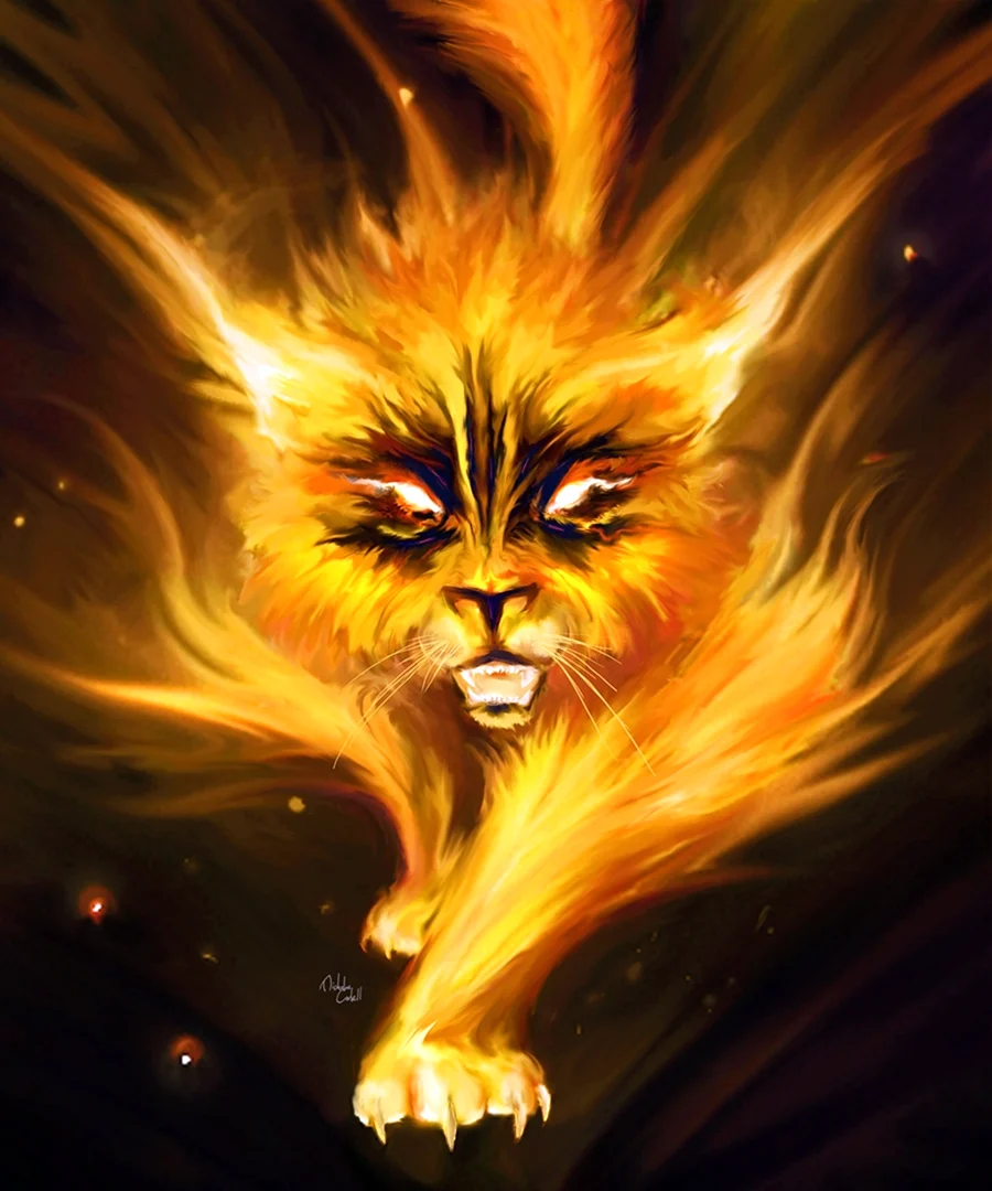 Огненный кот. Красивое животное