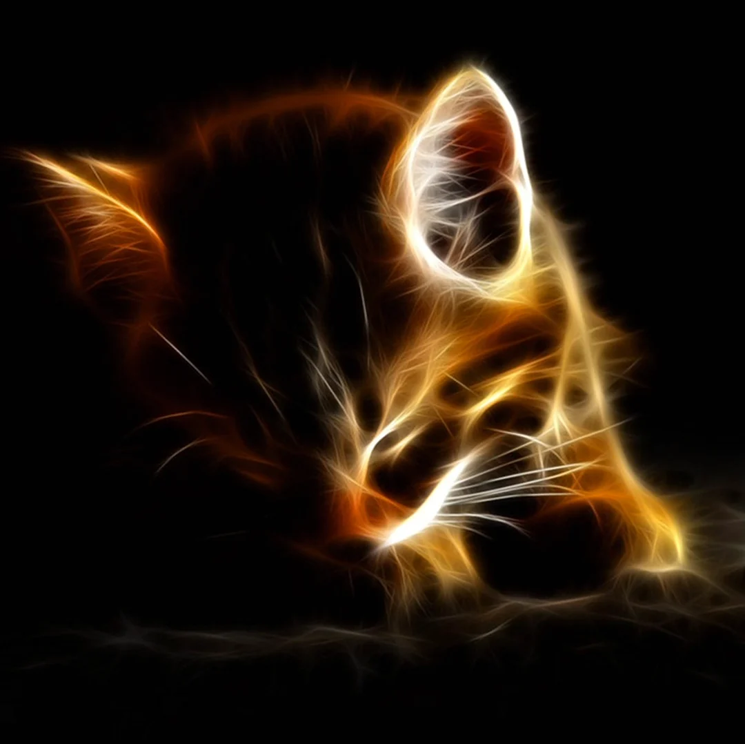 Огненный котик. Красивое животное