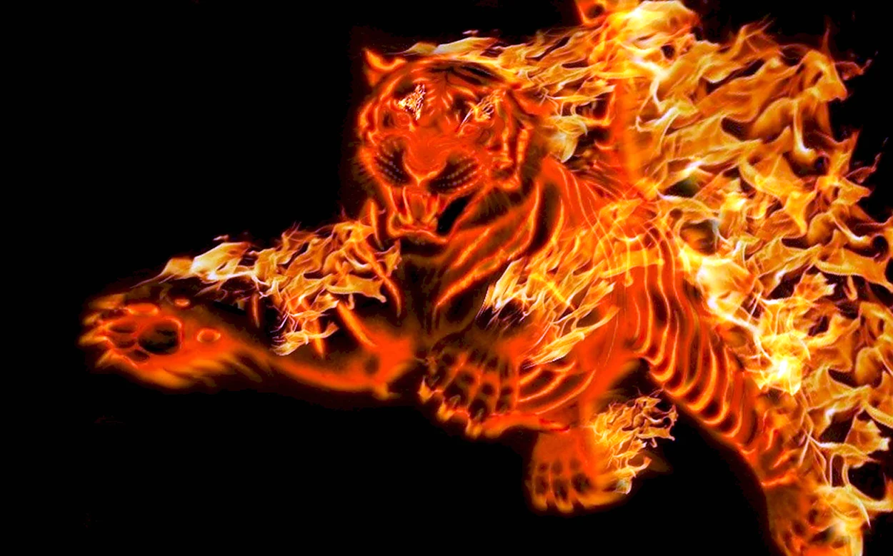 Огненный Лев Кумадори. Красивое животное