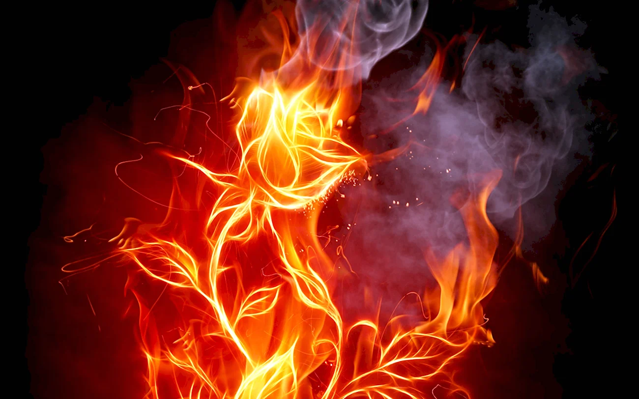 Огненный цветок Геншин. Картинка