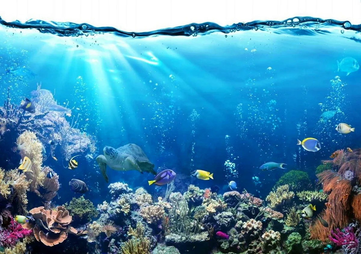 Океан под водой. Картинка