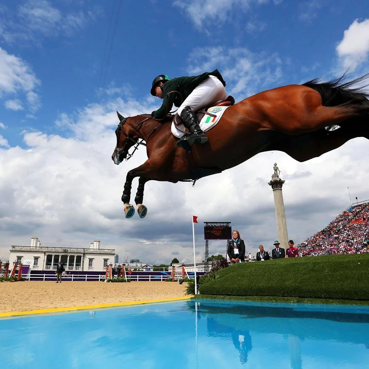 Олимпийские игры скачки на лошадях. Красивое животное
