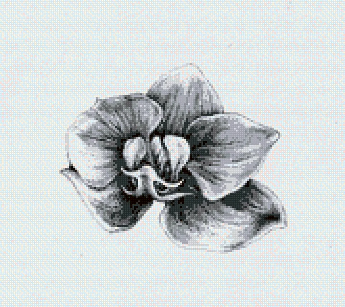 Орхидея эскиз. Для срисовки