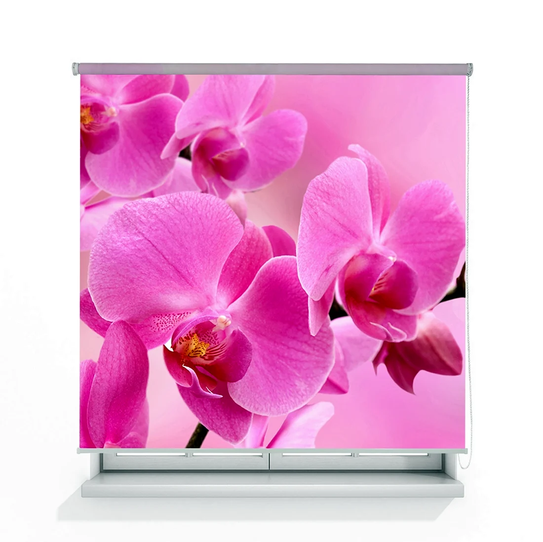 Орхидея розовая. Картинка