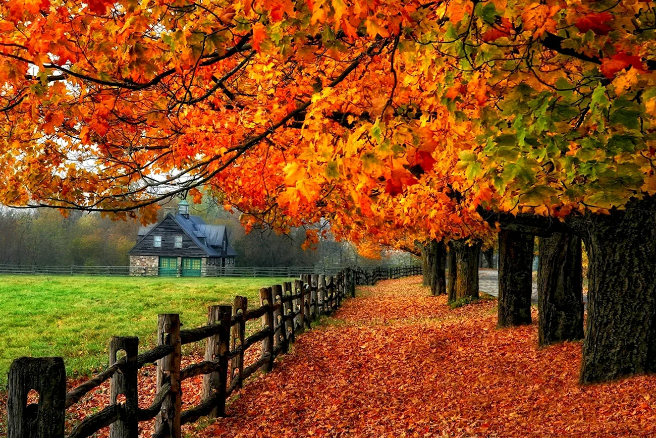 Осень. Красивая картинка