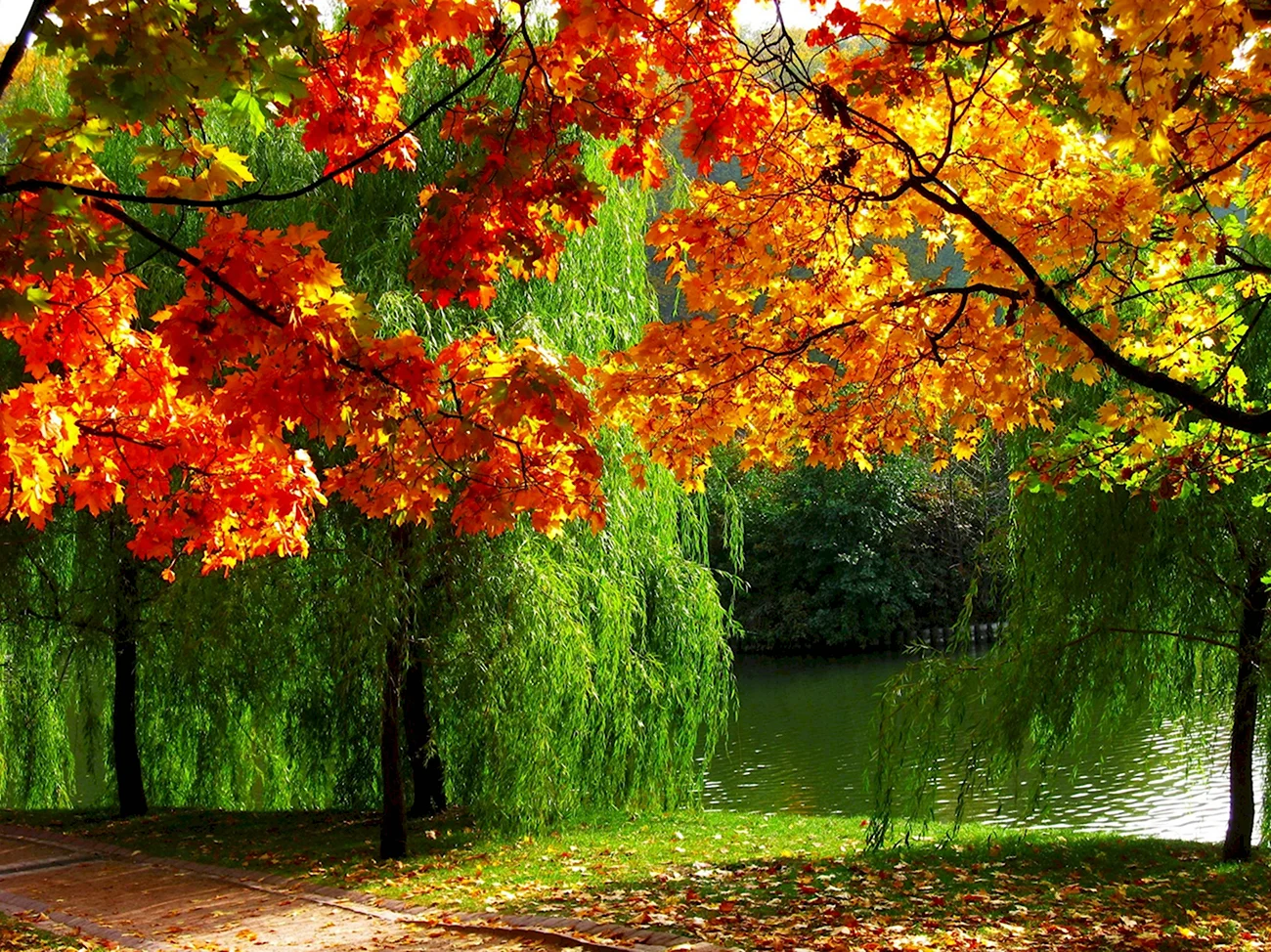 Осень. Красивая картинка