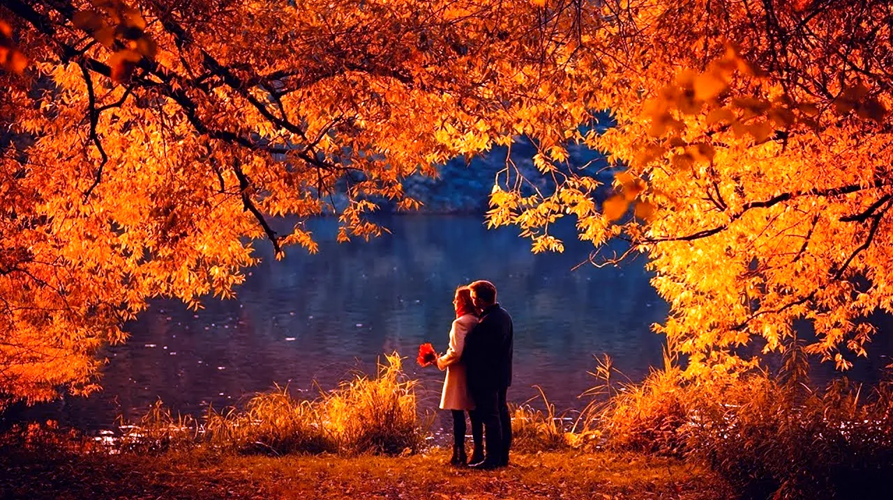 Осень любовь. Картинка