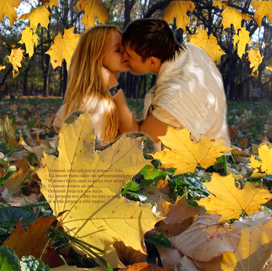 Осень любовь. Картинка