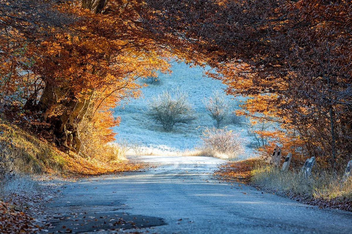 Осень в Крыму. Картинка