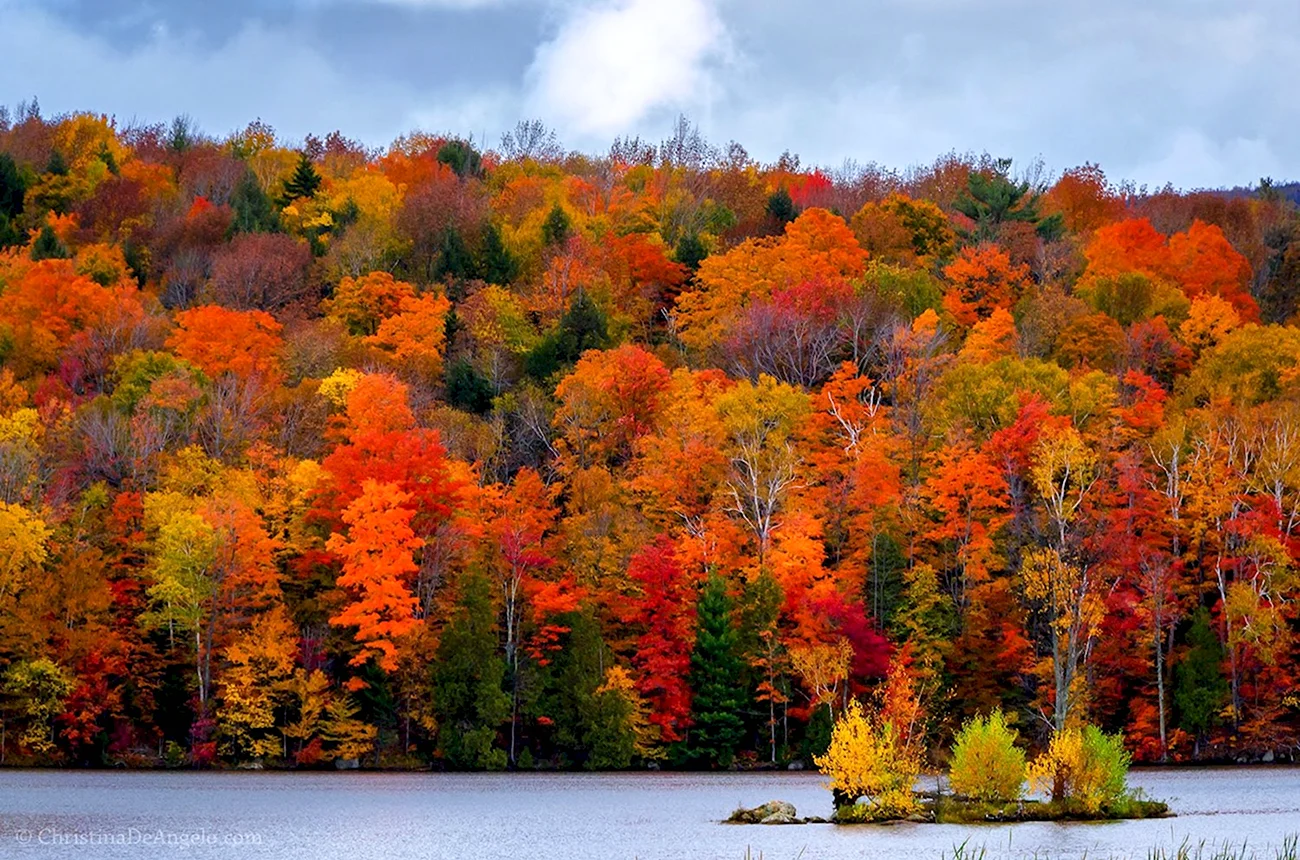 Осень в Вермонте. Картинка