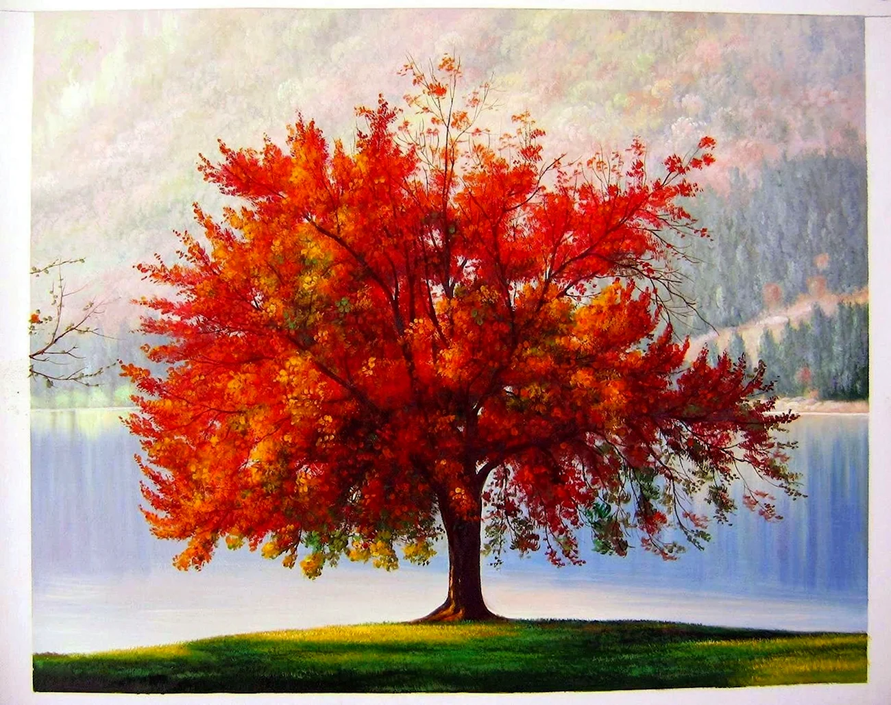 Осеннее дерево. Картинка