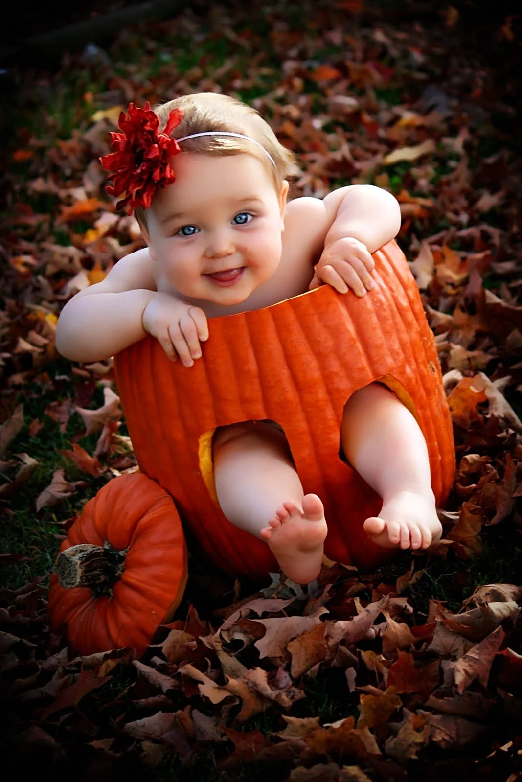 Осенняя фотосессия с малышом. Картинка