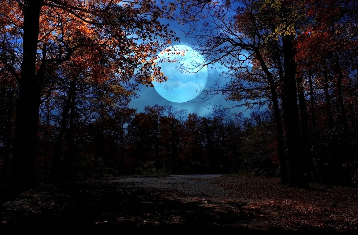 Осенняя ночь. Красивая картинка