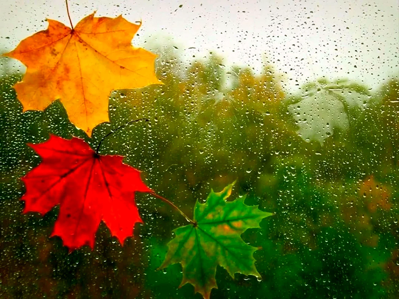 Осенняя погода. Картинка