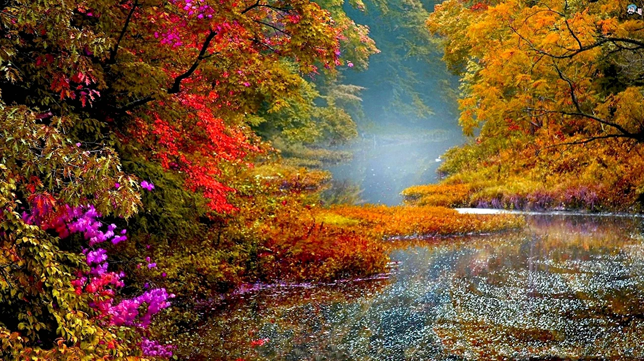 Осенняя природа. Красивая картинка