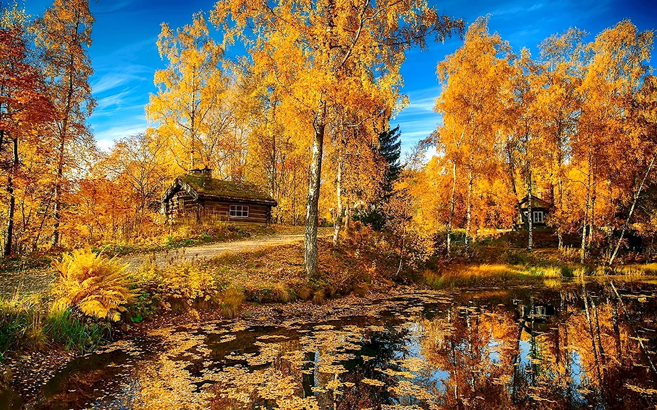 Осенние фотопейзажи России. Красивая картинка