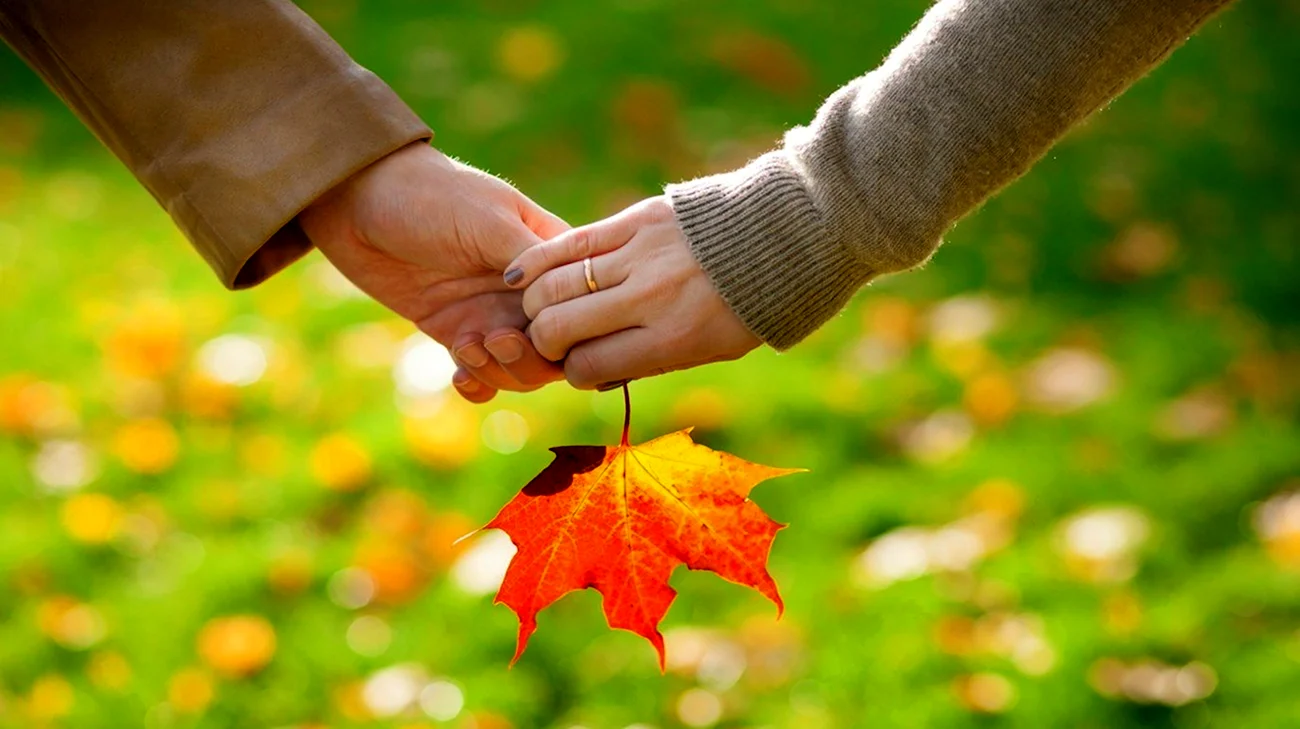 Осенние листья в руках. Картинка