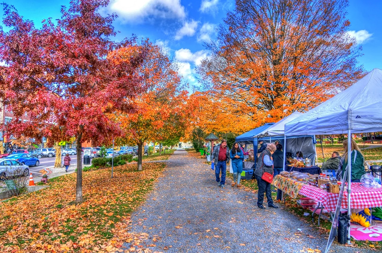 Осенний базар. Картинка