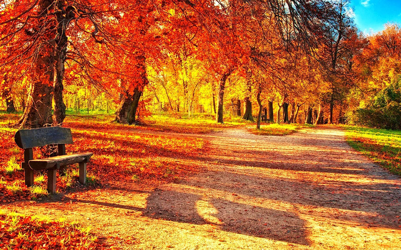 Осенний парк. Красивая картинка