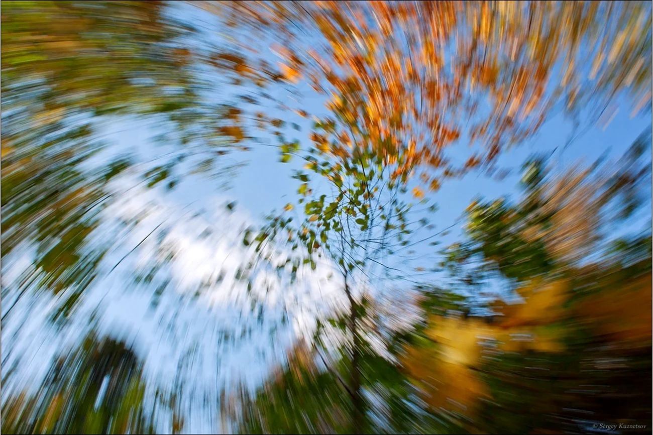 Осенний ветер. Картинка