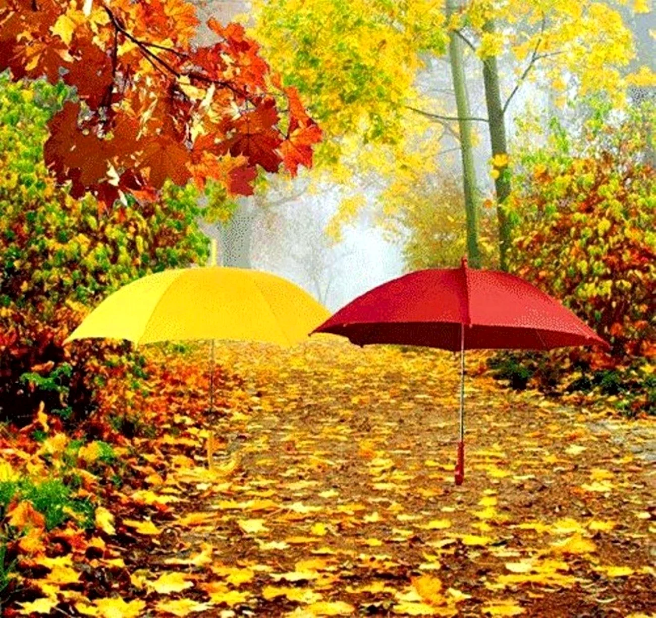 Осенний зонтик. Картинка