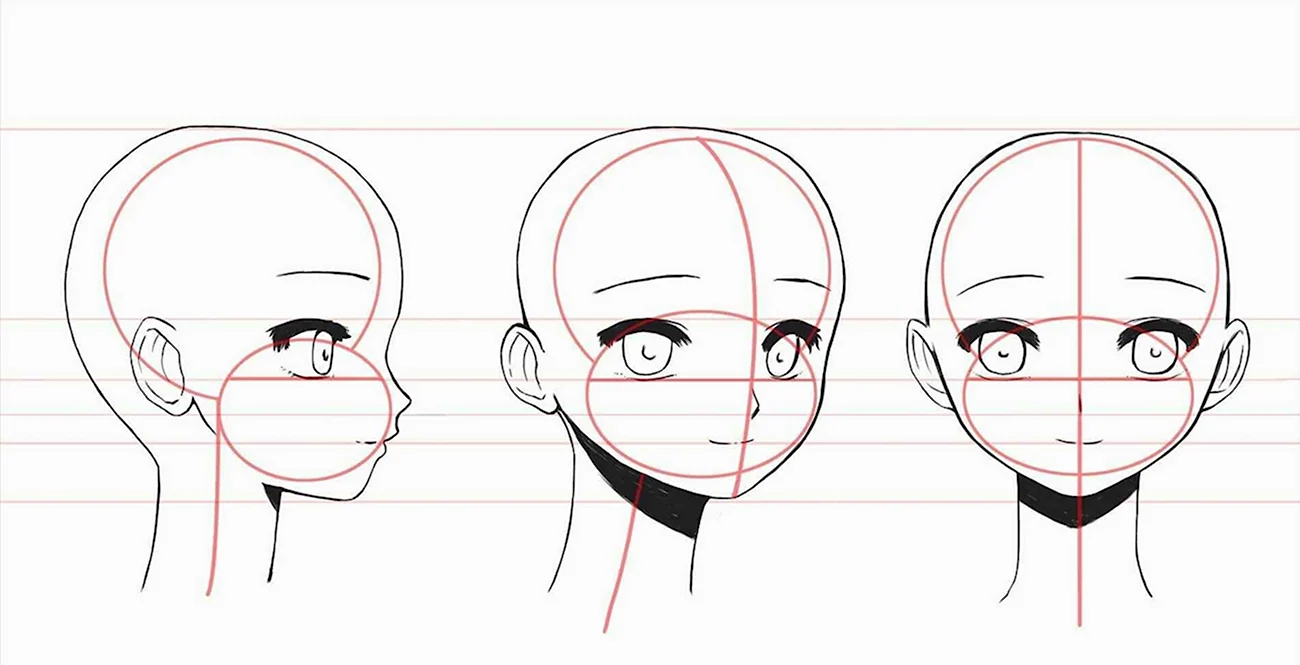 Осевые линии лица аниме. Для срисовки