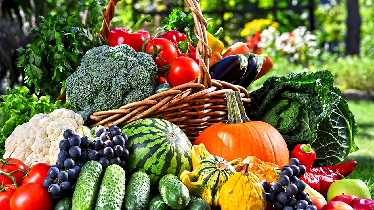Овощи и фрукты. Картинка