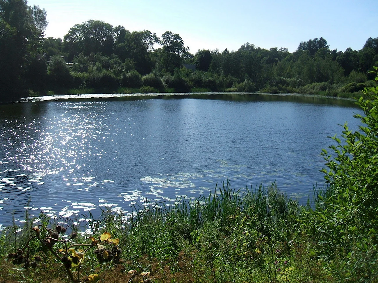 Озеро Акулинкино Курганская область. Картинка
