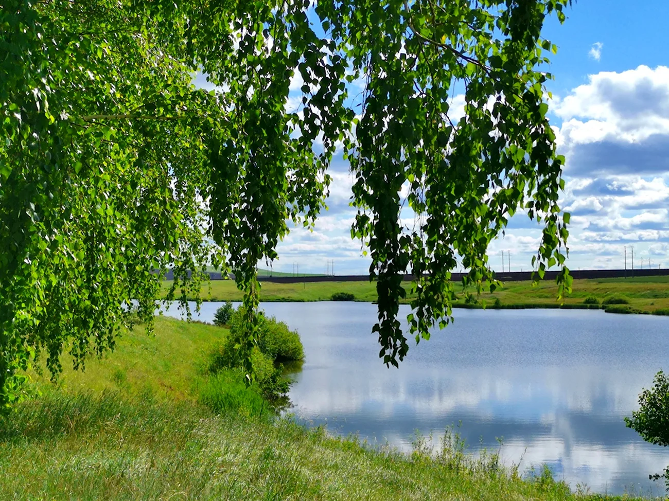 Озеро Березки Самара. Картинка