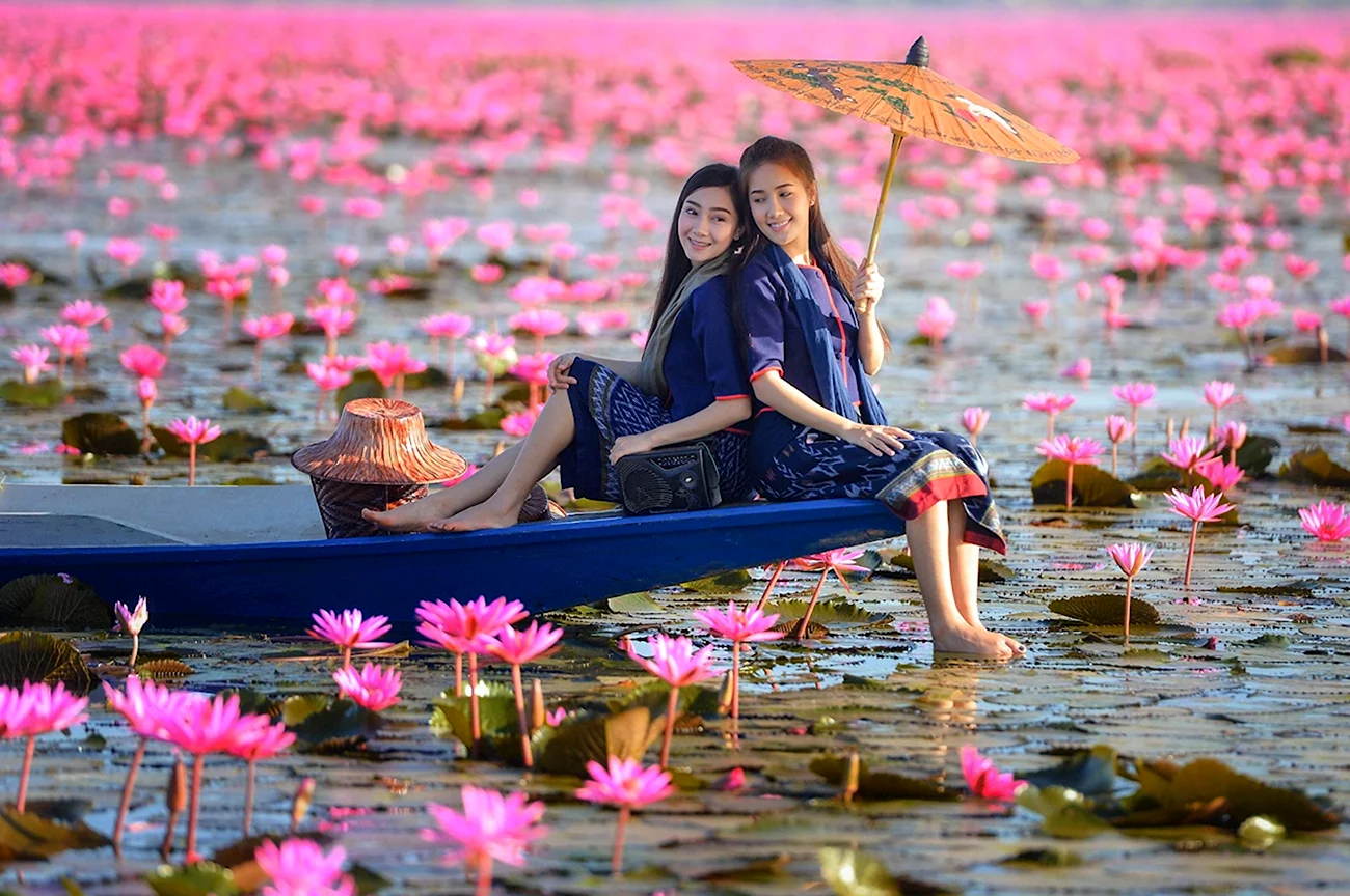 Озеро лотосов Вьетнам. Картинка