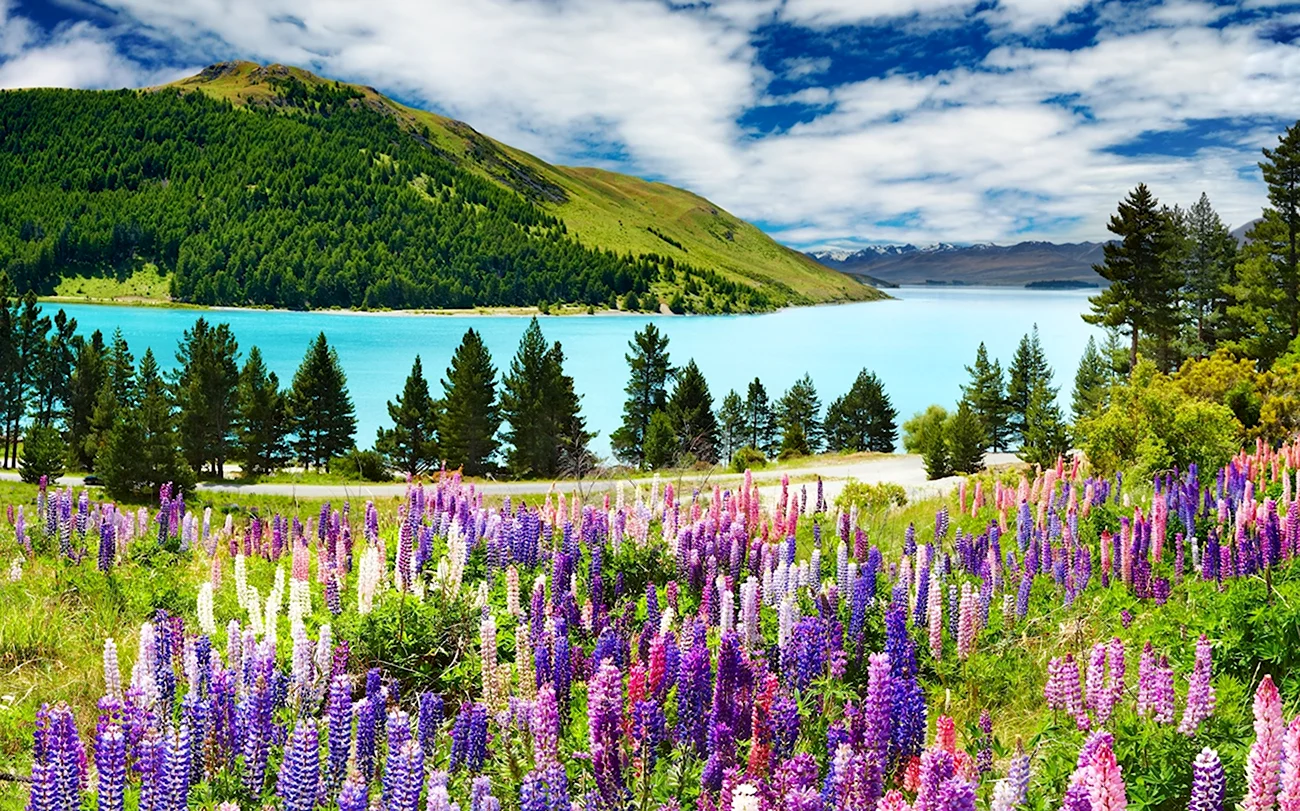 Озеро Текапо в новой Зеландии. Красивая картинка