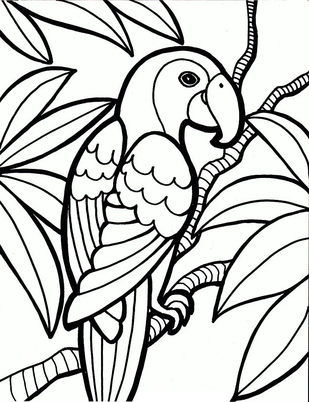 Ожереловый попугай раскраска. Для срисовки