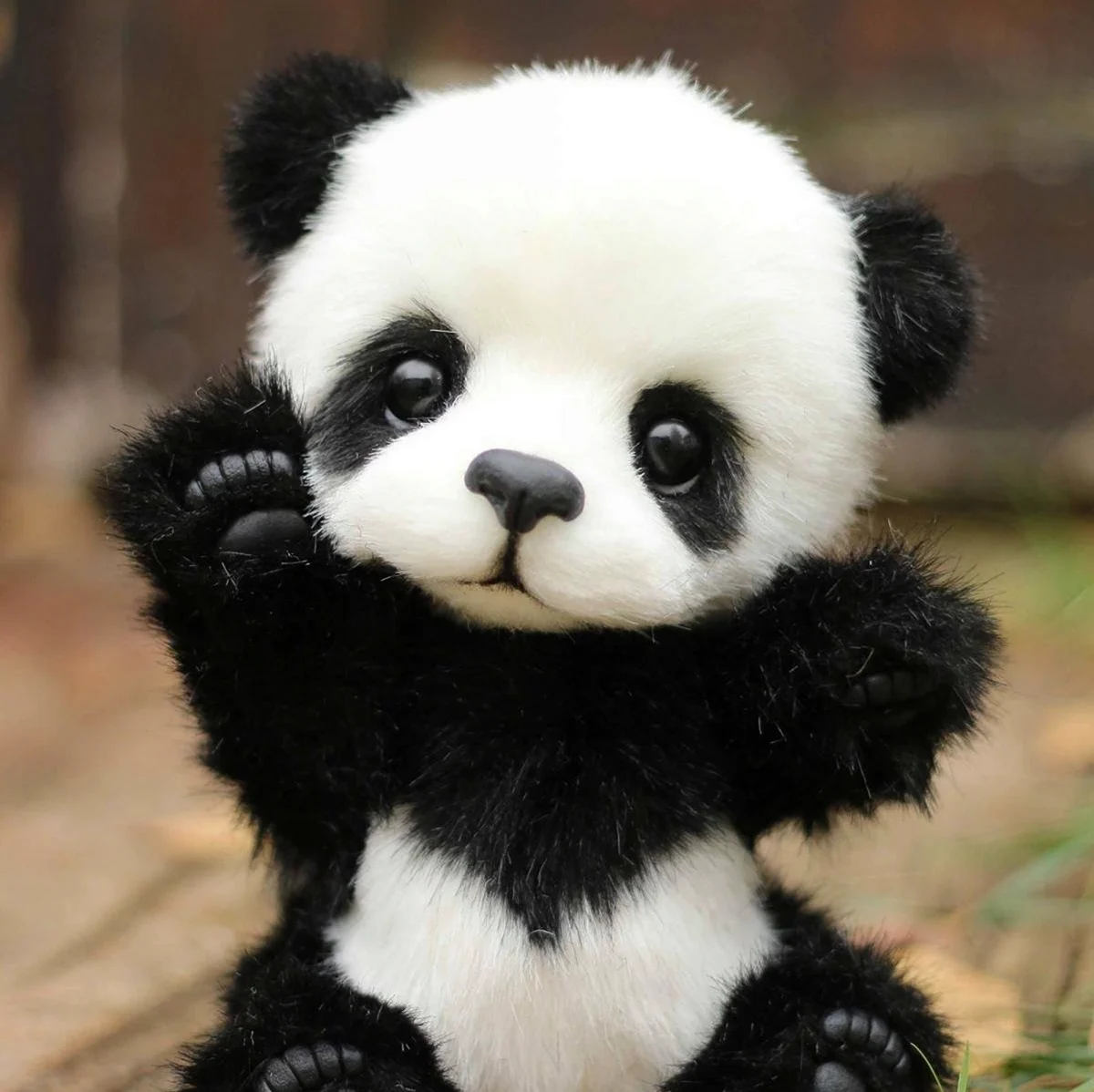 Панда. Красивое животное
