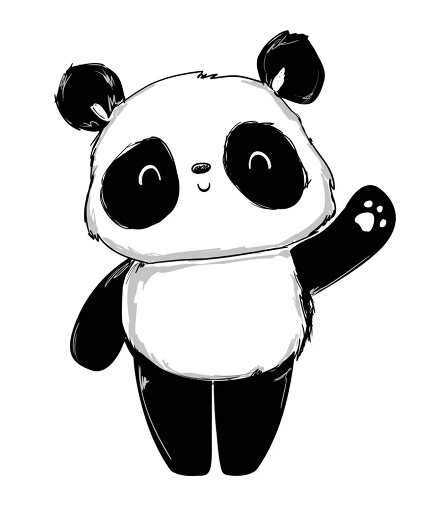 Панда рисунок. Для срисовки