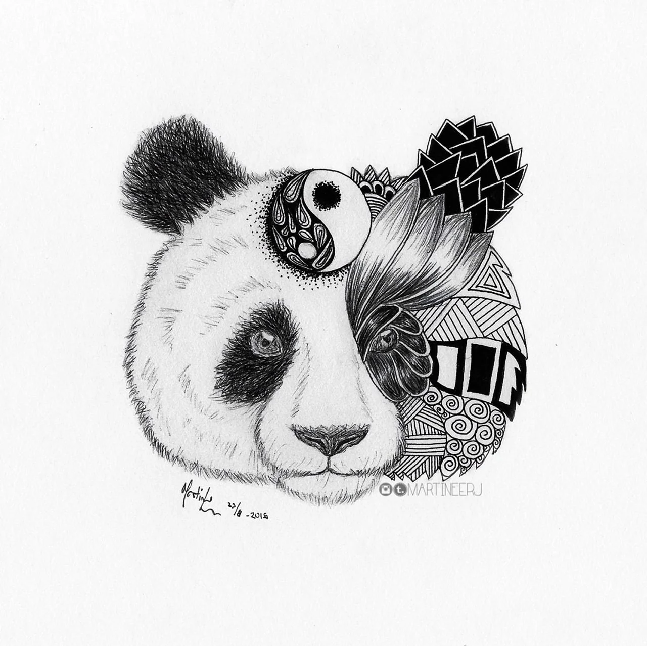 Панда рисунок. Для срисовки
