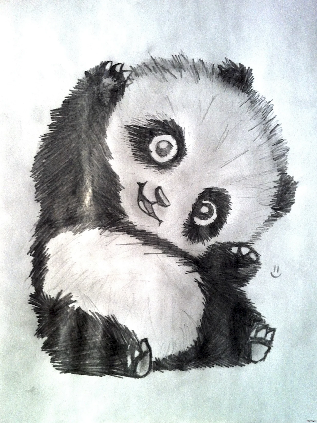 Панда рисунок карандашом. Для срисовки