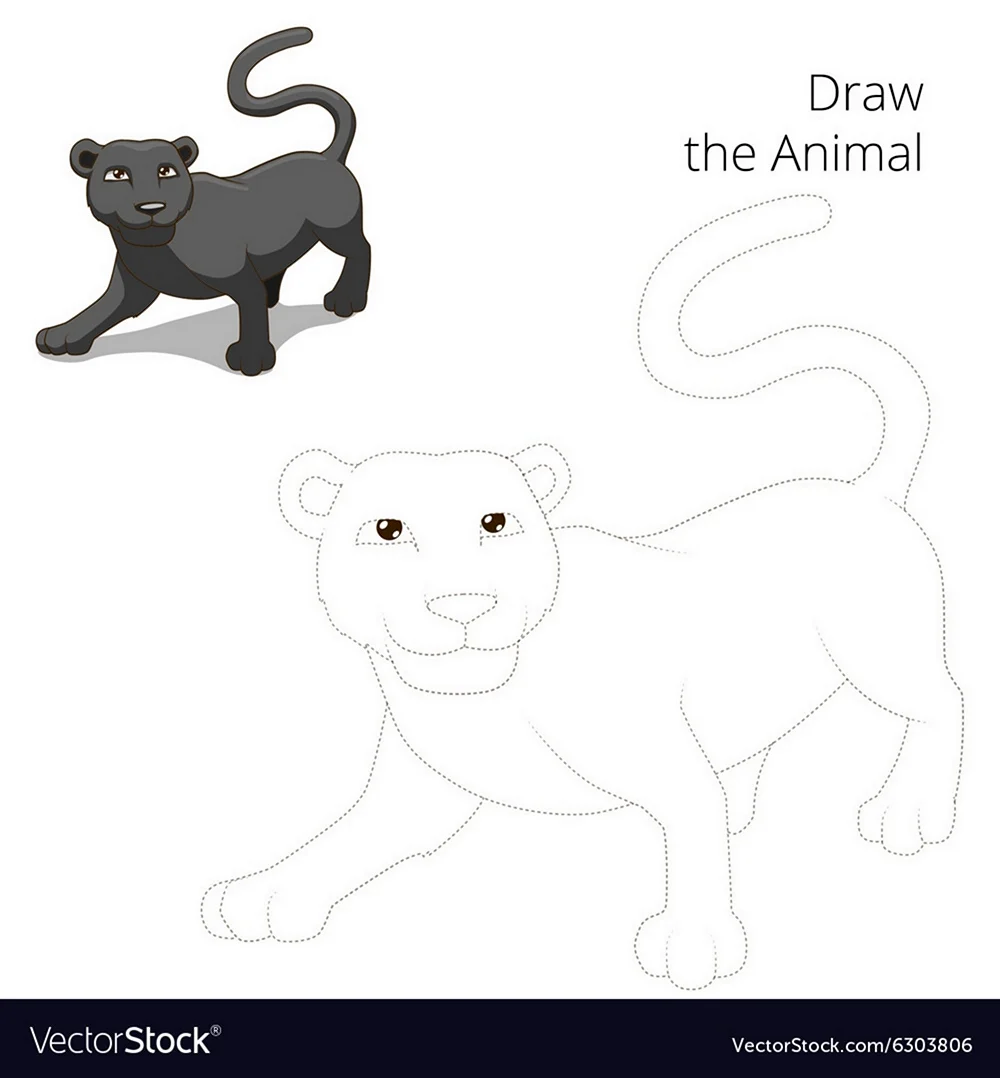 Пантера рисунок для детей поэтапно. Для срисовки