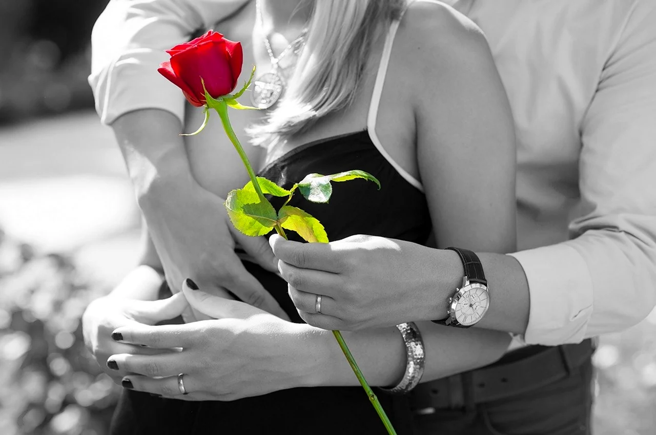 Парень дарит розы девушке. Красивая картинка