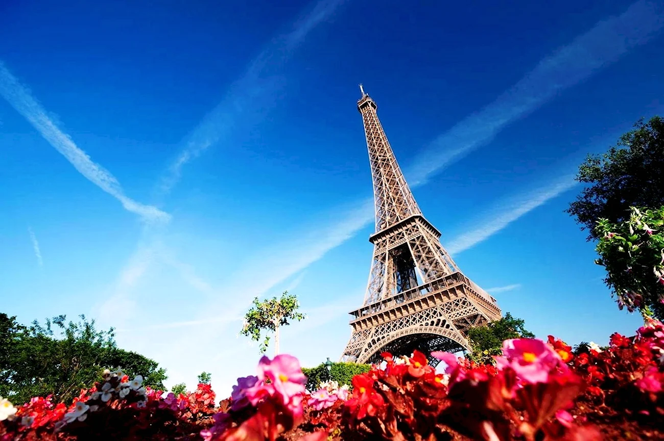 Париж эльфивая башня цветы. Картинка